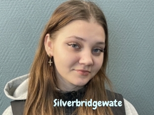 Silverbridgewate