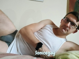 Sonicegay