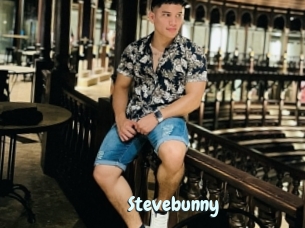 Stevebunny