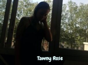 Tawny_Rose