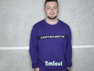 TimSoul