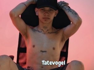 Tatevogel