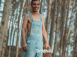 Teddhill