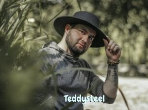 Teddysteel