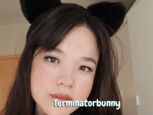 Terminatorbunny