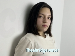 Theabridgewater