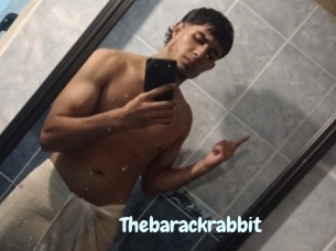 Thebarackrabbit