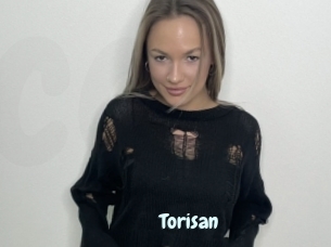 Torisan