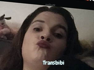 Transbibi