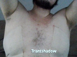 Transshadow