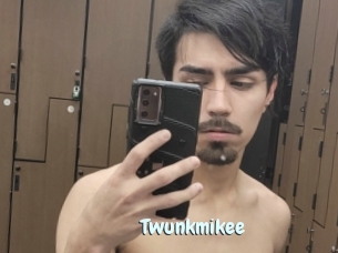 Twunkmikee