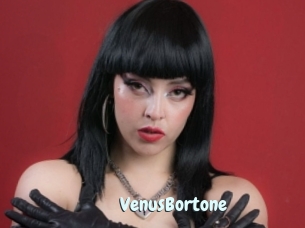 VenusBortone