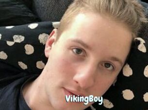 VikingBoy