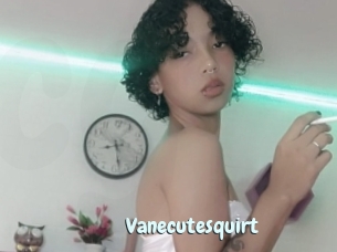 Vanecutesquirt