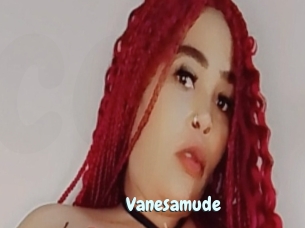 Vanesamude