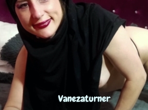 Vanezaturner