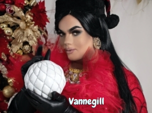 Vannegill