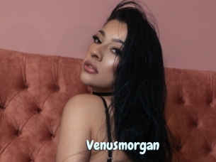 Venusmorgan