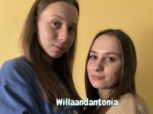 Willaandantonia