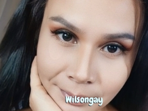 Wilsongay