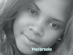 Ynesbrooks