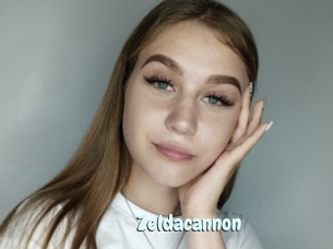 Zeldacannon